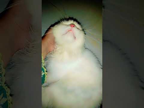 JB park na ly k jayan to asy hmara BP low hota ha