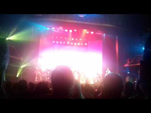 Priscilla folle du desert