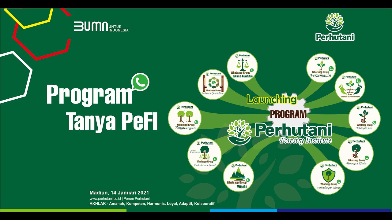 Launching Program Tanya PeFi