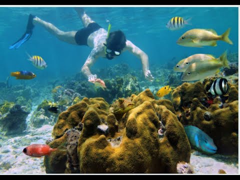 How to MAKE MORE MONEY is the #1 solution to all of your problems what are you waiting for!