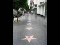 Map of the Stars_Melissa Etheridge