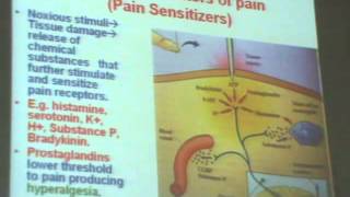 Dr Maha Sabry CNS 12.avi