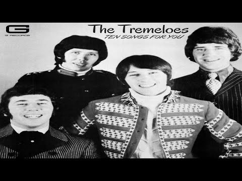 The Tremeloes "My little lady" GR 032/20 (Official Video Cover)
