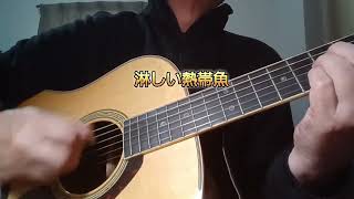 淋しい熱帯魚/ギター弾き語り
