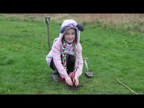Planting a new school woodland at Castleway Primary, Wirral
