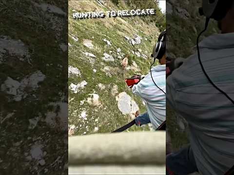 non lethal weapon 🔫 🥅