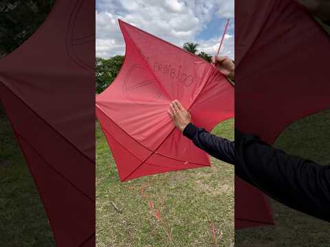 O PIPA PROIBIDO 🚫 #pipa