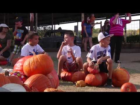 download lagu mp3 mp4 Corn Maze Near Dallas Ga, download lagu Corn Maze Near Dallas Ga gratis, unduh video klip Corn Maze Near Dallas Ga