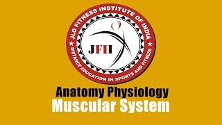 JFII EXPLAINED CHAPTER 4 MUSCULAR SYSTEM
