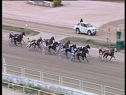 Trotto 02/04/2019 - 4ª corsa