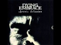 Dying Embrace - Nighttime Rain Drop 