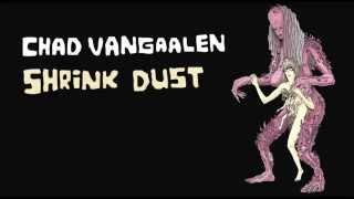 Chad Vangaalen - Cosmic Destroyer