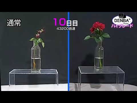 DENBA Health 動画