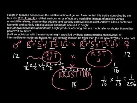 Quantitative genetics - how to solve problems