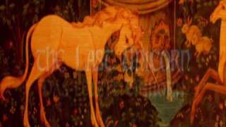 Das Letzte Einhorn - The Last Unicorn (by America)