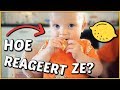 LUXY PROEFT CiTROEN VOOR HET EERST! ? | Bellinga Familie Vloggers #1338
