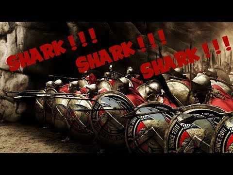 Ama-Shark Promo Song !