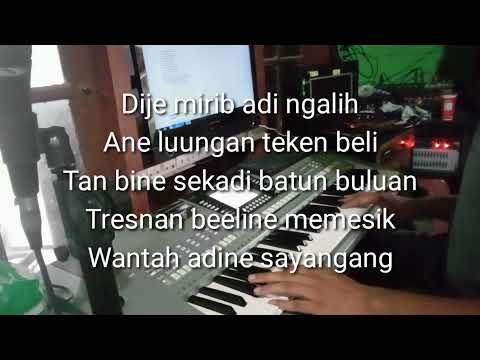WIDI WIDIANA CELENG GULING(karaoke/no vocal)