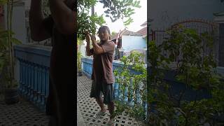 Download lagu Mau ketawa takut dosa video lucu bikin ngakak hiburan warga 62 funny videos viral video mp3