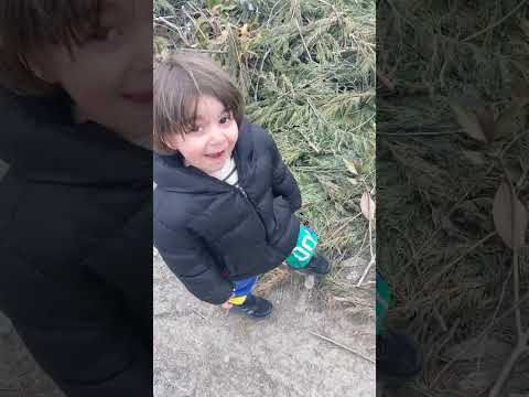 Cihangir kaçıyor 😱 #funny #global #fyee #fyyppppp #baby #cute #fyourpage #cosplay