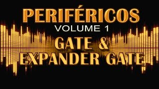 Periféricos - Gate & Expander Gate 2 - Com Wladnei Damálio - Vol.1