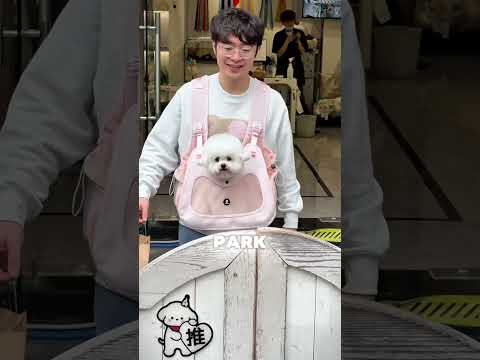 🐶✂️Do I look like a cute marshmallow after my haircut? #dog #bichonfrise #cute #puppy #pets
