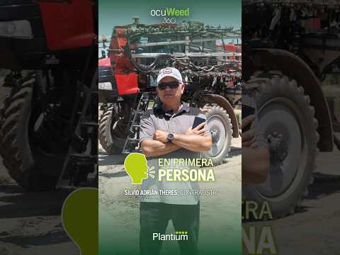 Pulverización selectiva en Quimili, Santiago del Estero.