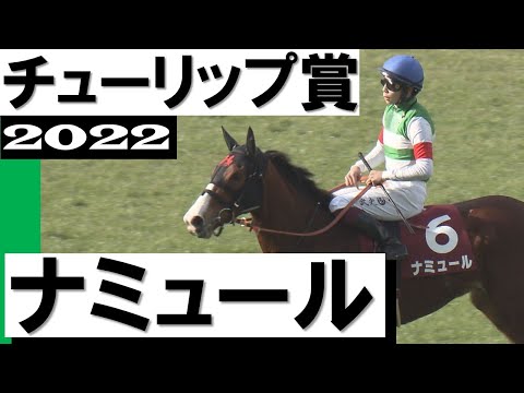 コミューン内のナミュールの町の位置