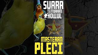 Download lagu SUARA TEMBAKAN KOWUL UNTUK MASTERAN PLECI NEMBAK KENARI #shorts #shortsvideo #viral mp3 Download lagu SUARA TEMBAKAN KOWUL UNTUK MASTERAN PLECI NEMBAK KENARI #shorts #shortsvideo #viral mp3