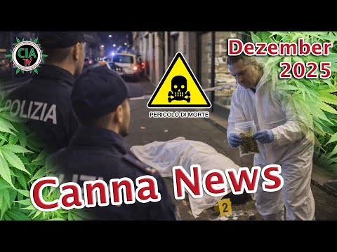 Canna News December 2025 - Germany, Switzerland, Italy, USA, Stock Exchange