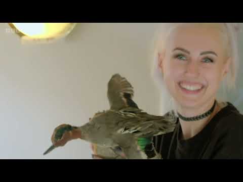 Interior Design Masters with Alan Carr S04E06