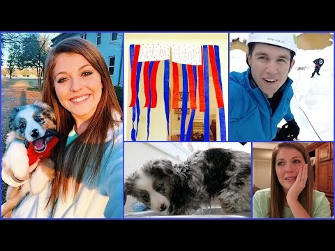 Tears, Puppy Bath & Welcome Home!