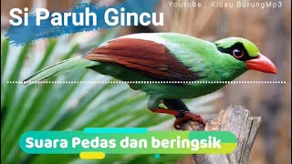 Download lagu Pikat Ekek Keling Gacor Berisik Suara Kasar | Kicau Burung Mp3 mp3 Download lagu Pikat Ekek Keling Gacor Berisik Suara Kasar | Kicau Burung Mp3 mp3