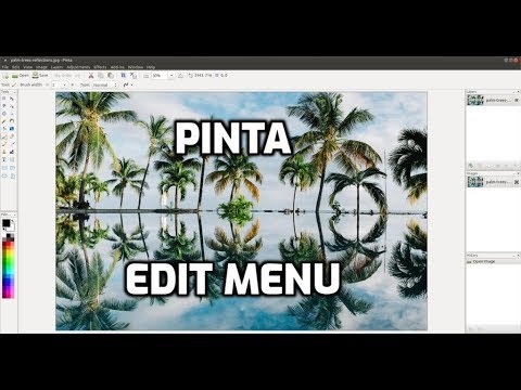 Pinta: Edit Menu