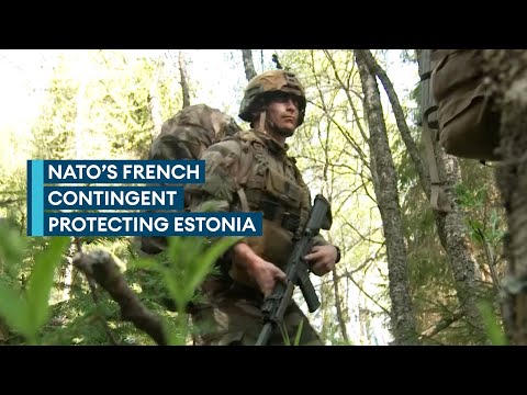 The French troops in Estonia helping to protect Nato's eastern flank