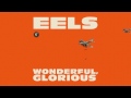 EELS - Peach Blossom (Audio Stream) - from WONDERFUL, GLORIOUS - Out Now!