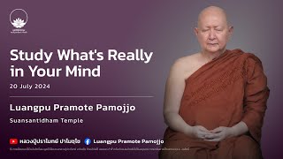 Study what's really in your mind :: Luangpu Pramote Pamojjo 20 Jul 2024