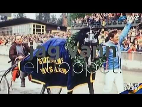Ideal du Gazeau_Elitloppet Winner_1980_Eugene Lefevre_Reportage