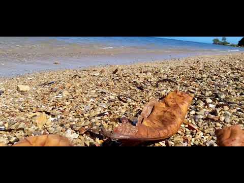 Poe Namona - Ruby MBuana..