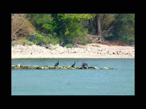 2015 08 23 Nationalpark Donauauen Slideshow