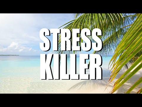 STRESS KILLER. 13 amazing tips to manage stress (2021, SOULutions 5)