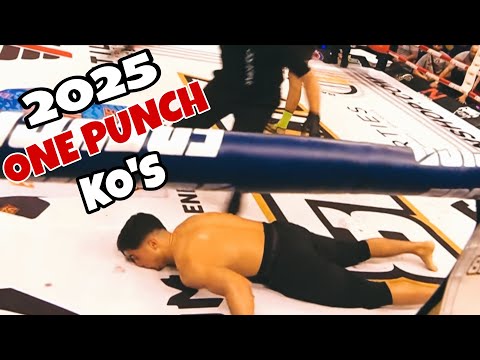One Punch Knockouts 2025 | Scary MMA Knockouts 😨