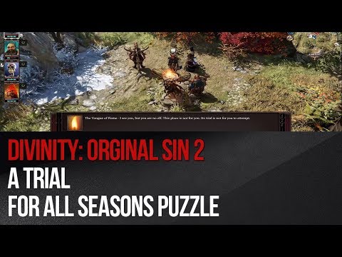 Divinity: Original Sin 2 - A Trial for All Seasons puzzle