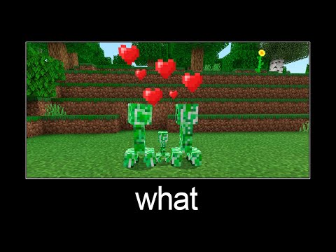 Minecraft wait what meme part 12