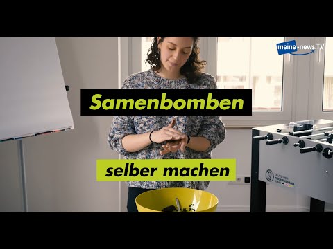 Do it yourself: Samenbomben zum Frühlingserwachen - meine-news.TV