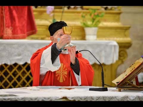 Parrocchia Santi Vitale e Agricola - Domenica delle palme - 04/05/2020