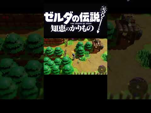 飲んだり買ったりしないでください: 男は豚、孔雀、オオサンショウウオと一緒に目覚めます