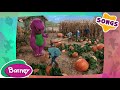 We Like Pumpkins PUMPKIN PATCH Songs Barney SONGS Compilation