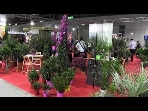 A Fiera Milano al via Myplant & Garden, espositori +35%