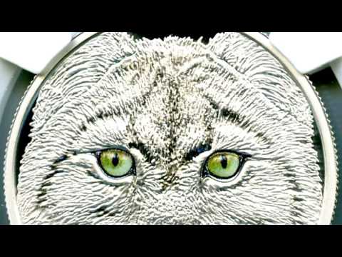 2017 CANADA SILVER $15 IN THE EYES OF THE LYNX GLOW IN THE DARK FIRST RELEASES PF 70 ULTRA CAMEO !!!